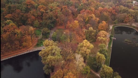 Drone Flight Over a Park with Two Lakes, Autumn with Beautiful Foliage. It's a Nasty Day.