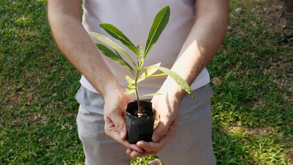 Man Holding Young Sprout in Flower Pot Bag with Soil Ecology and Life Concept