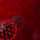 Virus Background 4K - VideoHive Item for Sale