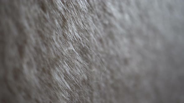 Macro Hair Polyester Fabric Slider Shot