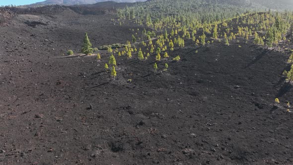 El Tiede Volcano Rocky Landscape National Park Rough Volcanic Landscape