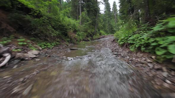 Smooth Rapid Flight Over a Mountain River Close to the Water Among a Dense Forest