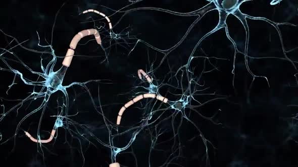 Synapse and Neurons sending electrical signals and chemical signaling