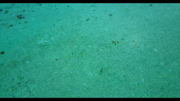 Aerial flying over panorama of exotic tourist beach wildlife by blue sea with white sandy background