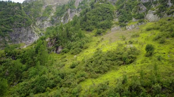 Drone view of a steep mountain with trees. aerial shot in the swiss alps