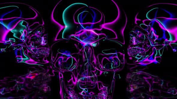 Glowing Edges Neon Skull 3D Abstract Psyhodelic Particle Trails Animation 4K Seamless Loop