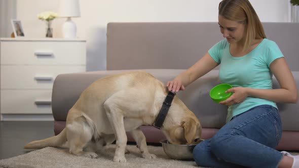 Caring Pet Owner Putting Super Premium Dog Food Into Bowl