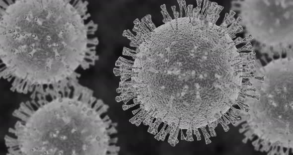 Black and White 3d Simulation of Corona Virus