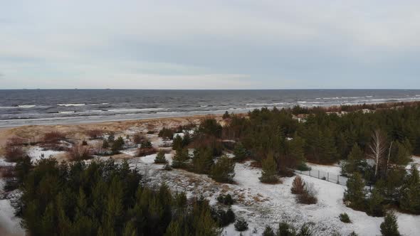 Beautiful aerial view over spruce tree forest with land covered in snow on a cold winter day towards