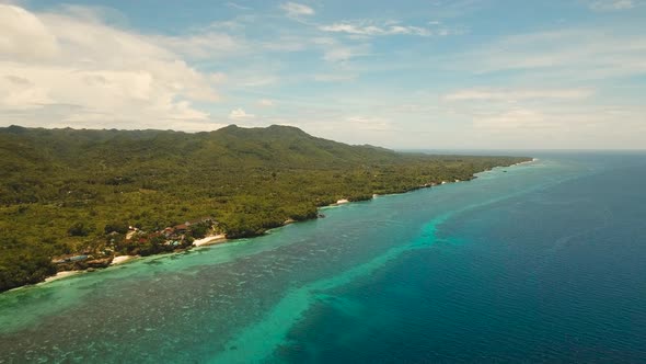 Tropical Beach and Turquoise Sea Philippines,Bohol