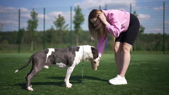 Side View Dog Drinking Coffee As Woman Stroking Black and White Dog in Sunshine Outdoors