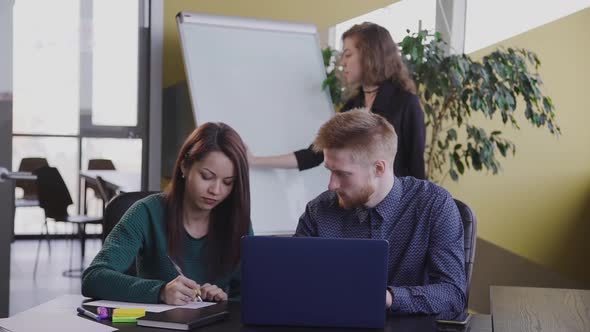 Group of American Designers Having Brainstorm and Working Together in Office Room