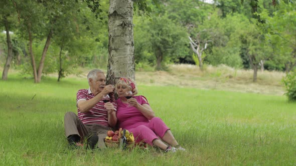 Family Weekend Picnic in Park. Senior Old Couple Sit Near Tree, Eating Fruits, Drinking Wine