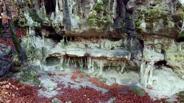 The Cave Grotto in the Forest