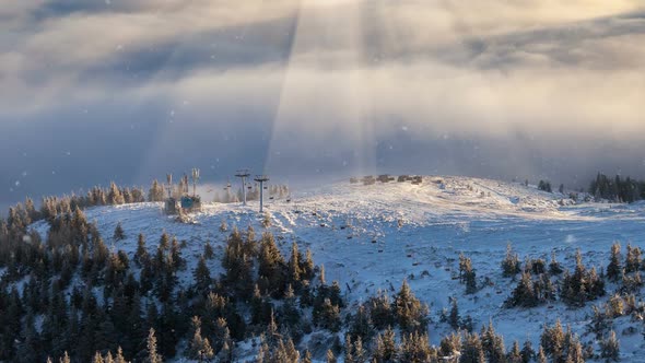 Falling Snow in a Winter Mountain with Snow Covered Trees, Slow Motion