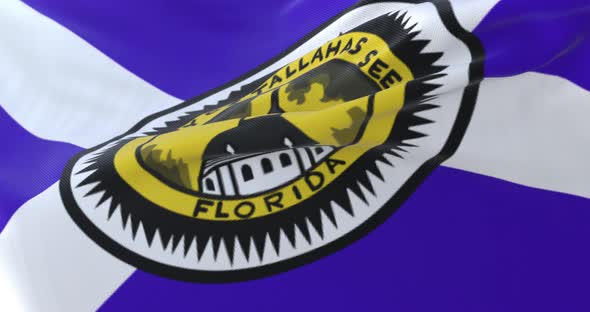 Tallahassee City Flag, United States