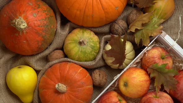 Composition of Pumpkins and Apples. Falling Autumn Leaves in Slow Motion.
