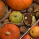 Composition of Pumpkins and Apples. Falling Autumn Leaves in Slow Motion. - VideoHive Item for Sale