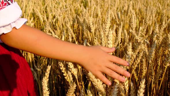 Child in Wheat Field Concept for Ukraine Independence Day