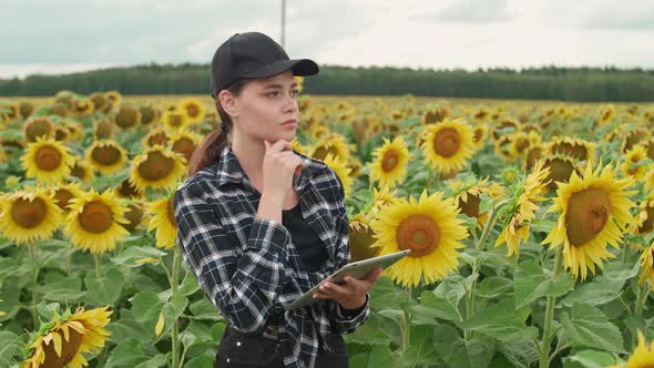 Female Farmer Stands in Field of Sunflowers and Works on a Screen Tablet Checks the Harvest