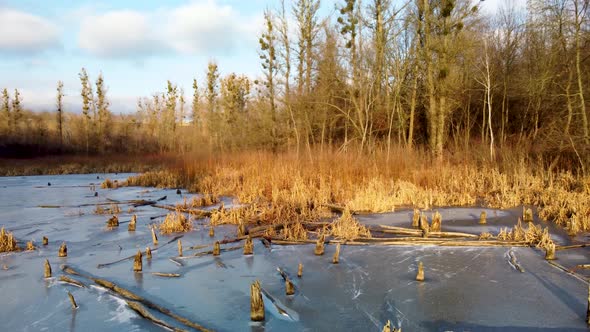 Aerial view on frozen wild lake in wintry forest