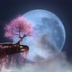 Sakura On The Cliff In Blue Moon Night Full Hd - VideoHive Item for Sale