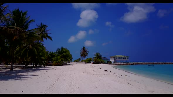 Aerial drone view panorama of beautiful island beach wildlife by blue lagoon and white sand backgrou