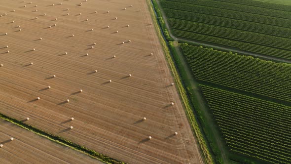 Hay bales in Friuli Venezia Giulia, Italy