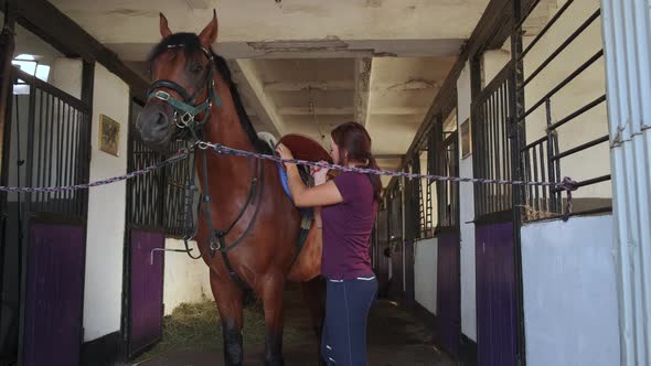 Woman Is Cinching Straps of Saddle on Horse Standing in Stable