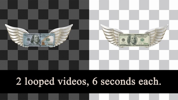 Dollar With Wings Looped Pack