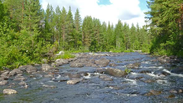 Landscape with River and Forest in Karelia