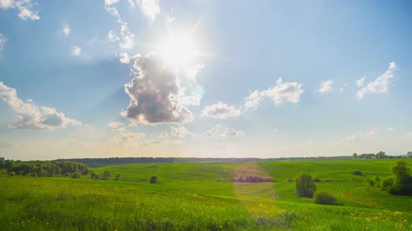 Summer Landscape and the Sun