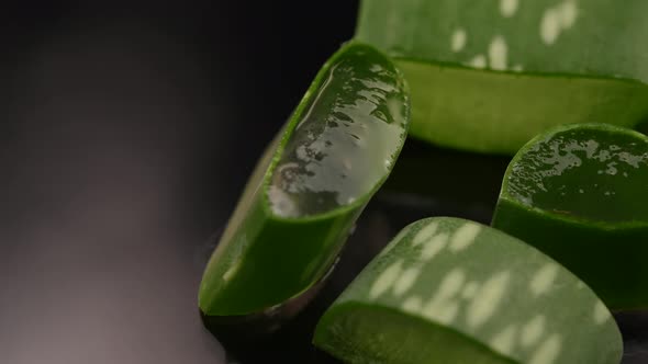 Healthy Aloe Vera 14