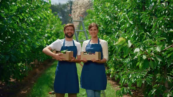 Family Farmers Showing Harvest Cherry Holding Fruit Crate in Greenhouse Garden