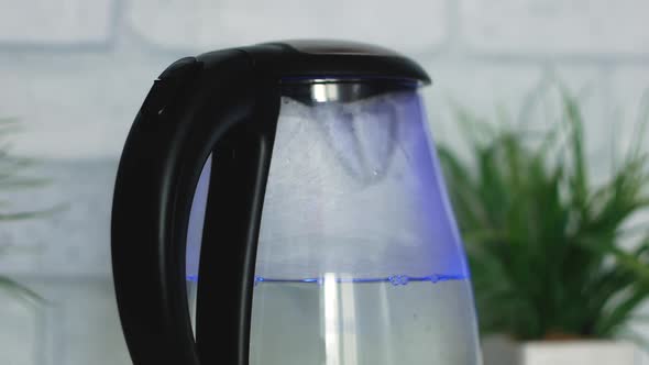Close-up of a transparent glass electric kettle is turned on to boil water