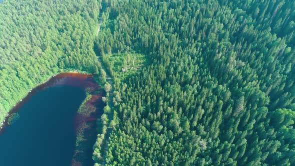 Aerial View of the Lake and Forest in South Finland