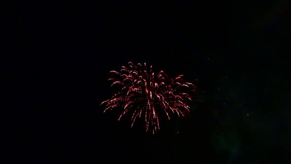 Colorful Firework display at night on sky background