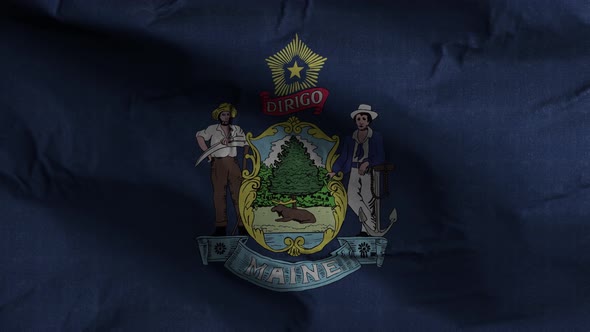 Maine State Flag 4K