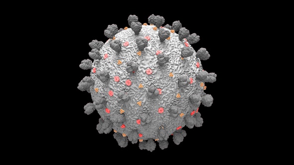 Coronavirus Covid 19 Cell alt