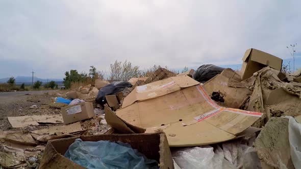 Cardboard Boxes Lie Next to the Road