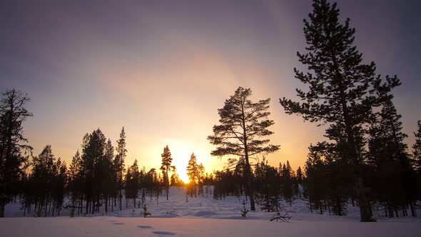 TIME LAPSE - A forest and the aurora borealis, day to night, Finland, zoom in