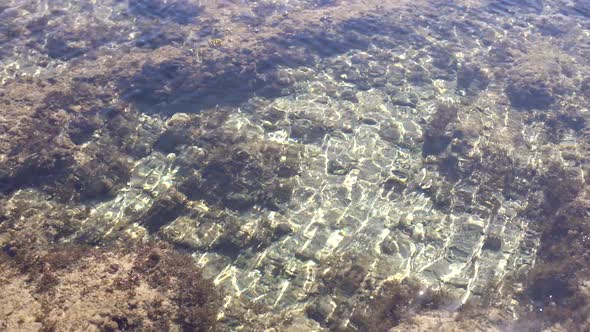 Rocks of Dead Coral Swept By Waves at White Sand Beach