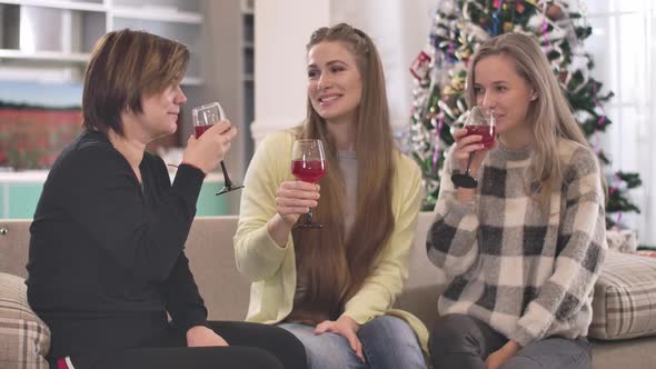 Positive Caucasian Friends Drinking Red Wine on New Year Eve. Portrait of Three Happy Women