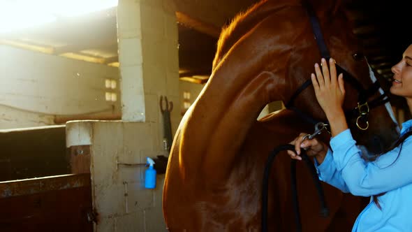 Veterinarian doctor petting a horse 4k