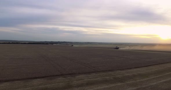 Several Harvesters Harvesting Wheat at Sunset