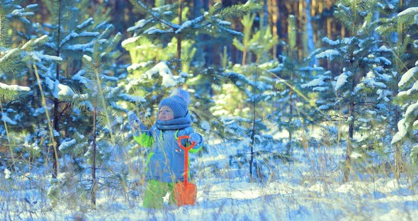 Child is Looking at the Firtree