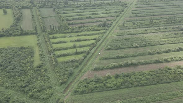 Aerial drone view flight over different agricultural fields sown in Samegrelo, Georgia