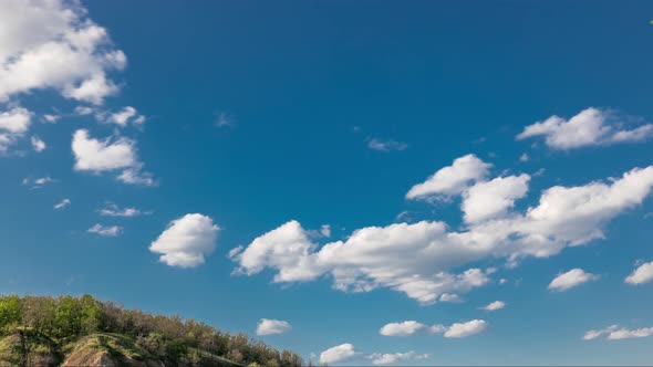 Green Field and Blue Sky with White Cloud Timelapse