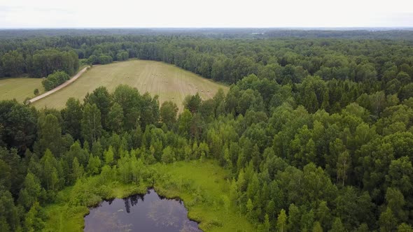 Small Lake In The Forest 03