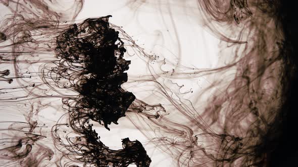 Dissolution of Black Paint on a White Background